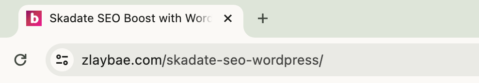 Skadate SEO WordPress – URL