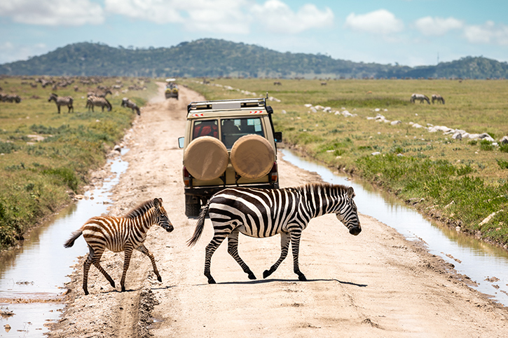 Serengeti in Tanzania 15 Best Vacation Spots for Couples